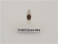 藏品(茄二十八星瓢蟲)的圖片